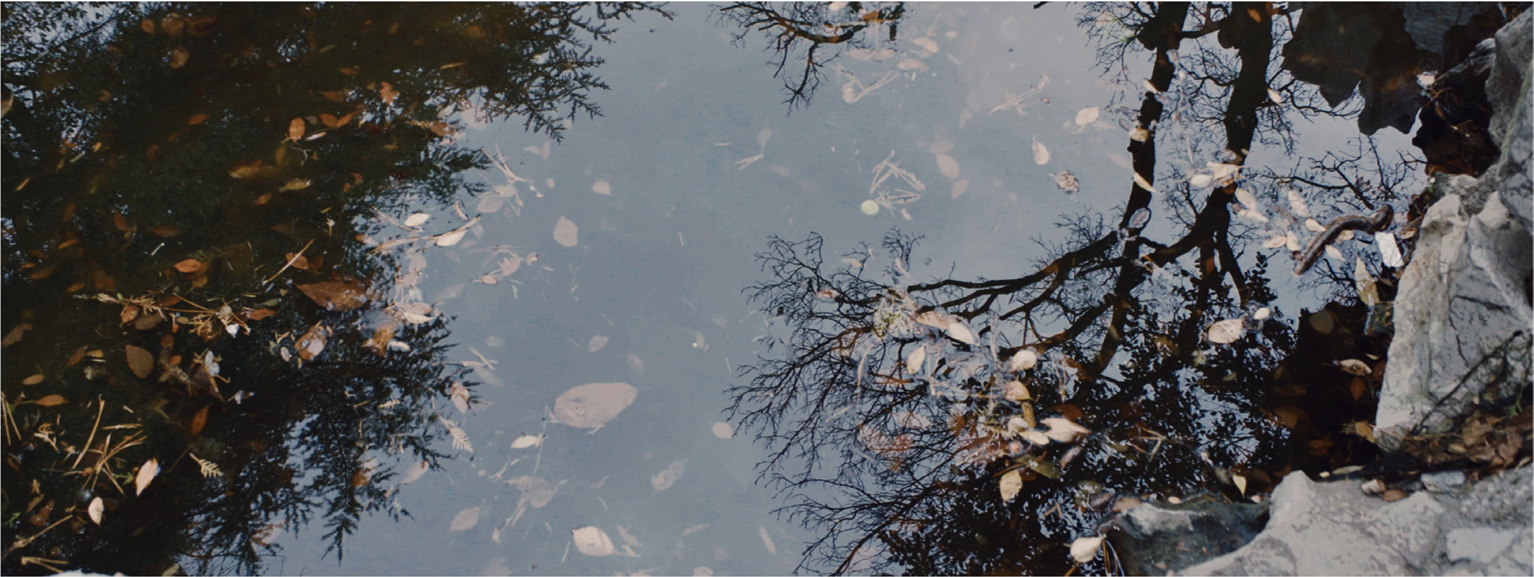 As Water in Water — Still 09